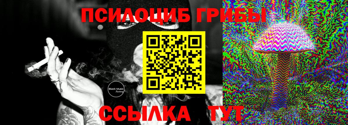 Кимры  купить наркотики сайты  Вход с VPN  Галлюциногенные грибы ЛСД 