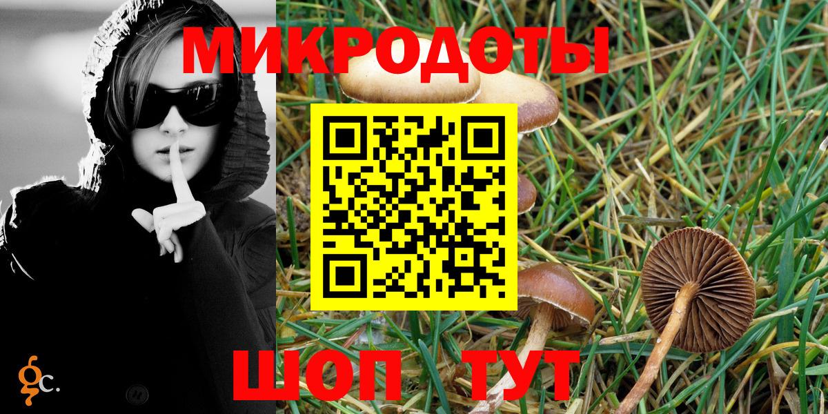 Псилоцибиновые грибы Cubensis Кимры